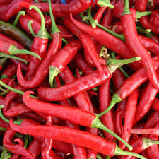 Big red chilli