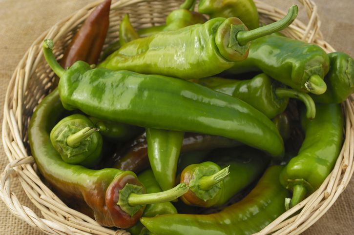 Big green chilli